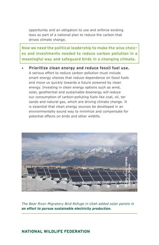 National Wildlife Federation
opportunity and an obligation to use and enforce existing
laws as part of a national plan to reduce the carbon that
drives climate change.
Now we need the political leadership to make the wise choic-
es and investments needed to reduce carbon pollution in a
meaningful way and safeguard birds in a changing climate.
•	 Prioritize clean energy and reduce fossil fuel use.
A serious effort to reduce carbon pollution must include
smart energy choices that reduce dependence on fossil fuels
and move us quickly towards a future powered by clean
energy. Investing in clean energy options such as wind,
solar, geothermal and sustainable bioenergy will reduce
our consumption of carbon-polluting fuels like coal, oil, tar
sands and natural gas, which are driving climate change. It
is essential that clean energy sources be developed in an
environmentally sound way to minimize and compensate for
potential effects on birds and other wildlife.
The Bear River Migratory Bird Refuge in Utah added solar panels in
an effort to pursue sustainable electricity production.
Credit:Flickr/USFWS
MountainPrairie
 