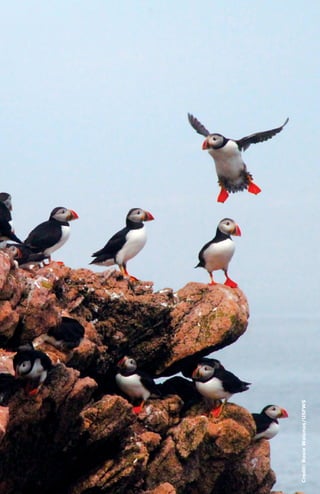 44Shifting Skies
Credit:RosieWalunas/USFWS
 