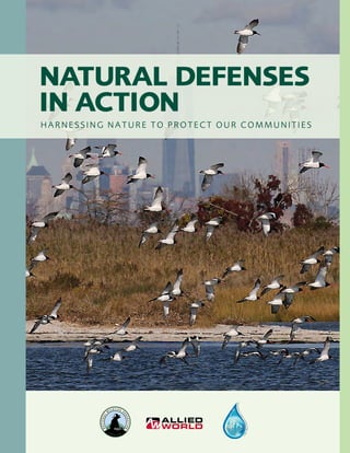 NATURAL DEFENSES
IN ACTION
HARNESSING NATURE TO PROTECT OUR COMMUNITIES
 