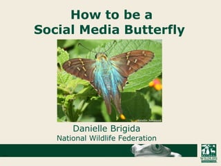 How to be a Social Media Butterfly Danielle Brigida National Wildlife Federation 