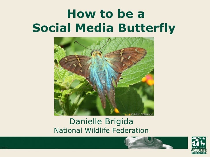 How To Be A Social Media Butterfly