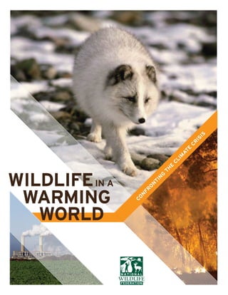 IS
                                                              IS
                                                          CR
                                                          E
                                                       AT
                                                   IM
                                                  CL
                                              E
                                             TH


WILDLIFE IN A
                                         G
                                         N
                                      TI
                                     N
                                     O




 WARMING
                                 FR
                                 N
                                CO




   WORLD


 National Wildlife Federation
 