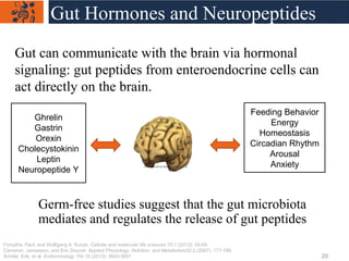 Gut can communicate with the brain via hormonal
signaling: gut peptides from enteroendocrine cells can
act directly on the...