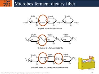 Linus Pauling Institute Image: http://lpi.oregonstate.edu/mic/other-nutrients/fiber
Microbes ferment dietary fiber
34
 