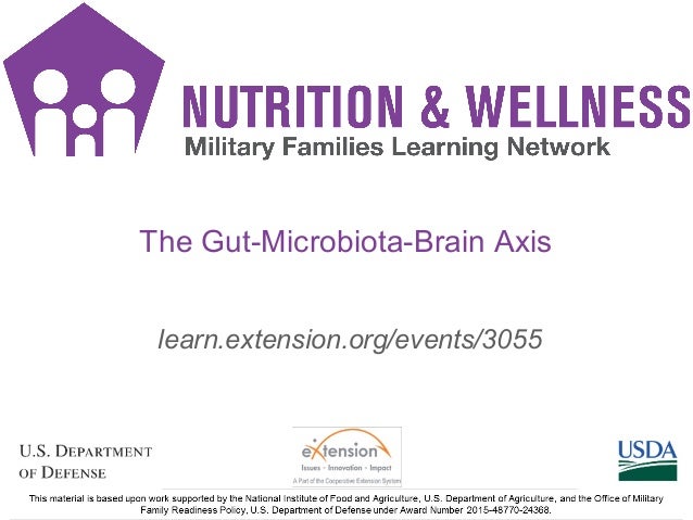 gut microbiota brain axis