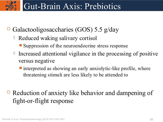 gut microbiota brain axis