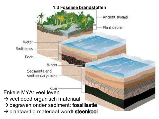 Nw i 1 materie & energie