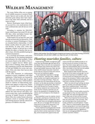 Wildlife M anagement
   The treaty Indian tribes are co-manag-
ers of wildlife resources in western Wash-
ington. Species such as deer, elk, bear and
mountain goats always have been impor-
tant to the tribes both culturally and as a
source of food.
   Western Washington treaty tribal hunt-
ers account for a very small portion of the
total combined deer and elk harvest in the
state.
   According to statistics for 2010-2011,
treaty tribal hunters harvested 393 elk and
696 deer, while non-Indian hunters har-
vested 7,060 elk and 33,391 deer.
   Tribal hunters do not hunt for sport and
most do not hunt only for themselves. Trib-
al culture in western Washington is based
on extended family relationships. A tribal
hunter usually shares his game with sev-
eral families. In some cases, tribes may
designate a hunter to harvest one or more
animals for elders or families that are un-
able to hunt. All tribes prohibit hunting for                                                                                         Debbie Preston
commercial purposes.                            Makah tribal member Gary Ray has been a longtime participant on the tribe’s hunting committee.
   As a sovereign government, each treaty       Harvesting deer, elk and other wildlife is an important part of tribal culture.
tribe develops its own hunting regulations
and ordinances for tribal members. Tribes
set seasons based on the ability of the re-
                                                Hunting nourishes families, culture
                                                   Implementing a wildlife management plan        scarce and fish and wildlife provide an im-
source to support harvest. Before open-         more than two decades ago has paid off for        portant source of nutrition to tribal mem-
ing an area to hunting, many tribes share       the Makah Tribe in the form of a comprehen-       bers. The tribe’s treaty rights and co-man-
their regulations with the state Department     sive database that protects the tribe’s trea-     agement responsibilities play an important
of Fish and Wildlife for review and com-        ty-reserved wildlife resources. Deer, elk and     role in the health of the tribe and the wildlife
ment. Tribes also share their harvest data      other wildlife always have been important         resources in western Washington.
with the agency.                                to the tribe as a source of food and cultural        When Quileute tribal member Tony Fos-
   Each tribe maintains an enforcement          items such as traditional regalia.                ter thinks of the treaty hunting right, he con-
program to ensure compliance with tribal           “It was especially important to manage         siders the importance of wildlife in cultur-
                                                the elk resource,” said Gary Ray, a Makah         al ceremonies and helping youth learn the
regulations. Tribal hunters are licensed by
                                                tribal member and longtime participant on         ways of the ancestors. Foster is also director
their tribes and must obtain tags for game      the tribe’s hunting committee. “There are         of Quileute Natural Resources Law Enforce-
animals they wish to hunt. Tribal members       both tribal and non-tribal efforts off the res-   ment and a member of tribal council.
found in violation of tribal hunting regu-      ervation, so the data we provide is important        “When my kids and I go hunting, we share
lations must appear in tribal court. Penal-     to managing the hunting effort. We haven’t        with our families and extended families. It
ties can include fines and loss of hunting      had a cow harvest for a number of years,          gives them traditional food,” Foster said.
privileges.                                     for instance, based on our inventory of the       “We utilize these foods for our ceremonies
   In most cases, tribal hunting regulations    herds. As the inventory improves, we can          and potlatches.
address the same harvest and safety con-        look at the possibility of changing that reg-        The tribe offers a hunter safety course for
cerns as state rules, such as prohibiting the   ulation, but it’s all based on the reliable re-   young people so they can learn about the
carrying of loaded firearms in vehicles.        search.”                                          treaty right, the rules and regulations and
                                                   Ray is gratified to see his nephew, Jeremi-    how to take care of their animal, he said.
Many tribes also conduct hunter education
                                                ah Johnson, working as a technician for the          “When they bring that first animal home,
programs aimed at teaching tribal youth         Makah Wildlife Division management team.          they can have pride in their success. They
safe hunting practices and the cultural im-        “The staff there are doing groundbreaking      are contributing to their family and that
portance of wildlife to the tribe.              work. We can co-manage with the state be-         builds confidence and self-esteem,” Foster
                                                cause we’re on top of the resources in our        said. “There is a misconception about tribal
                                                traditional hunting grounds,” Ray said.           hunters being able to hunt everything all the
                                                   Those traditional hunting grounds include      time and harvest as many as we want. I take
                                                thousands of acres of forestlands lying out-      time to let people know our regulations –
                                                side the tribe’s remote reservation on Neah       that we are managing wildlife for our grand-
                                                Bay, where employment opportunities are           children and their children.”




10      NWIFC Annual Report 2012
 