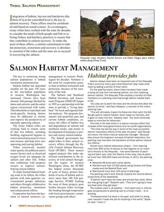 Tribal Salmon Management


I  ntegration of habitat, harvest and hatcheries (the
   three H’s) at the watershed level is the key to
salmon recovery. These efforts must be coordinat-
ed and based on sound science. As co-managers,
treaty tribes have worked with the state for decades
to consider the needs of both people and fish in re-
fining fishery and hatchery practices to ensure that
they contribute to salmon recovery. To make the




                                                                  Emmett O’Connell
most of these efforts, a similar commitment to hab-
itat protection, restoration and recovery is absolute-
ly essential if the tribes and the state are to succeed
in recovering the salmon.
                                                                                     Nisqually tribal members Rachel Simons and Eddie Vilegas plant willow
                                                                                     stakes along Ohop Creek.


Salmon H abitat M anagement
  The key to sustaining strong
salmon populations is habitat
                                      management in western Wash-
                                      ington for decades. Nowhere is
                                                                                           Habitat provides jobs
                                                                                              Salmon always have been an important part of the Nisqually
restoration and protection.           the need for cooperation great-                      Tribe’s economy. Every year tribal fishermen help make ends
  Salmon habitat has degraded         er than in habitat restoration and                   meet by selling a portion of their catch.
steadily for the past 150 years       protection, because of the enor-                        For the past five years, some tribal members have made
as the non-Indian population          mity of the task.                                    a living not only from harvesting salmon, but from restoring
in western Washington has                The Salmon and Steelhead                          salmon habitat. The Nisqually Tribe employs a handful of tribal
increased. Forests have been          Habitat Inventory and Assess-                        members on a planting crew that brings salmon habitat back
cleared, fish passage blocked by      ment Program (SSHIAP) began                          to life.
dams and culverts, and the entire     in 1995 as a partnership with the                       “Our jobs are to plant the trees and the shrubs that allow the
region crisscrossed with roads.       state to provide a “living data-                     salmon to thrive,” said Sam Stepetin, a member of the tribe’s
The tribes believe watershed- and     base” for local and regional hab-                    planting crew.
                                                                                              “This will ultimately impact the fishermen that catch the fish.
stock-specific limiting factors       itat analyses. The program doc-
                                                                                           We get paid to restore habitat, which helps our families, and
must be addressed to restore          uments and quantifies past and                       it goes on down the line,” Stepetin said. “Our work eventually
and improve the productivity of       current habitat conditions, as-                      leads to more fish for fishermen.”
naturally spawning salmon.            sesses the effect of habitat loss                       The tribe is the lead entity in a salmon recovery effort that
  The treaty Indian tribes are        and degradation on salmon and                        includes other local governments and non-profit organizations.
working hard to restore some          steelhead stocks, and assists in                        “The tribe has led the way in some of the most successful
of that lost habitat, including       development of strategies to pro-                    salmon restoration efforts of the past 10 years,” said Georgi-
building engineered logjams to        tect and restore salmon habitat.                     ana Kautz, the tribe’s natural resources manager. “Because
return natural processes to rivers       The federal government has                        they ensure the long-term success of habitat restoration, the
and streams and help form new         aided tribes in their salmon re-                     planting crew has been the backbone of those salmon restora-
                                                                                           tion efforts.”
spawning and rearing habitat.         covery efforts through the Pa-
                                                                                              Almost every habitat restoration project – from opening
  Tribes extensively monitor          cific Coastal Salmon Recovery                        more than 800 acres of estuary to new logjams on an impor-
water quality for pollution and to    Fund (PCSRF). These monies                           tant tributary to the Nisqually – has some element of plant-
ensure factors such as dissolved      support projects that make sig-                      ing and plant care. Over the lifetime of the crew, they’ve plant-
oxygen levels are adequate for        nificant contributions to the re-                    ed more than 200,000 trees and shrubs. In 2011, the planting
salmon and other fish. Tribes         covery of wild salmon through-                       crew:
also collaborate with property        out the region. In western                              ♦ Restored 49 acres with native plants;
owners to improve salmon-             Washington alone, the PCSRF                             ♦ Planted more than 37,000 plants along Tanwax and Ohop
bearing stream habitat.               has helped restore thousands                               creeks and the Mashel River; and
  To make limited federal fund-       of acres of forest, protect hun-                        ♦ Maintained more than 100 acres of plantings.
ing work to its fullest, the tribes   dreds of acres of habitat and re-                       The planting crew’s work directly impacts the natural salmon
                                                                                           productivity of the watershed.
partner with state agencies, en-      move more than 100 fish pas-
                                                                                              “If salmon don’t have the trees and shrubs they need, where
vironmental groups, industries        sage barriers. PCSRF funding                         are they going to go?” Stepetin said. “They aren’t going to have
and others through collaborative      for most of these projects goes                      any food when they get back.”
habitat protection, restoration       further because tribes leverage                         The outdoor work in all weather – from plant care in 116-de-
and enhancement efforts.              the funding through cooperation                      gree temperatures to planting next to a frozen creek – is re-
  Cooperation has been the key-       with local governments, conser-                      warding.
stone of natural resources co-        vation groups and others.                               “Compared what I’ve done in the past, and what I’m doing
                                                                                           now, I wouldn’t trade this job for anything in the world,” Stepe-
                                                                                           tin said. “I love it.”
       NWIFC Annual Report 2012
 