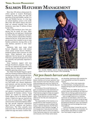 Tribal Salmon Management

Salmon H atchery M anagement
   More than 100 salmon enhancement fa-
cilities operate in western Washington,
managed by treaty tribes, the state De-
partment of Fish and Wildlife, and the U.S.
Fish and Wildlife Service. It is the larg-
est salmon hatchery system in the world.
More than 100 million salmon and steel-
head are released annually from these
hatcheries; more than 35 million of those
by the tribes.
   While tribal hatcheries have been pro-
ducing fish for nearly 40 years, feder-
al funding has not kept pace, threatening
the tribes’ ability to implement vital hatch-
ery reform projects and produce hatchery
salmon for harvest. At the same time, bud-
get pressures have resulted in cuts in state
hatchery production, leaving tribes as the
only hatchery operators in some water-
sheds.
   Hatcheries help meet treaty tribal
harvest obligations when wild salmon
stocks cannot sustain harvest. Hatchery-
produced salmon relieve pressure on wild
stocks. Tribal hatcheries also provide
additional fish for harvest by non-Indian
fishermen, and help build natural runs that
are culturally and spiritually important to
the tribes.
   Some hatcheries support wild runs
                                                      Tiffany Royal




through broodstock programs where na-
tive fish are captured and spawned. Their
progeny then are released to help support
naturally spawning salmon runs.                                       Port Gamble S’Klallam natural resources technician Ben Ives Sr.
   The Tribal Fish Health Program operat-                             adjusts a net on the tribe’s net pen in Port Gamble Bay.
ed by the Northwest Indian Fisheries Com-
mission assists tribes in rearing and releas-
ing healthy fish that will help sustain a
                                                Net pen boosts harvest and economy
tribal fishery or restore a wild population.       The Port Gamble S’Klallam Tribe’s Little                are dwindling. Hatcheries help subsidize the
The program provides services in preven-        Boston hatchery and net pen operation have                 runs, keeping fish out there for people to
tive fish health care, disease diagnostics      been around for more than 30 years, consis-                harvest.”
                                                tently providing coho and chum salmon for                      The facility on Point Julia creates jobs
and treatment, and also provides training
                                                fishermen to harvest in Port Gamble Bay and                for tribal members, including those who
and educational opportunities for tribal        Hood Canal.                                                stopped fishing the past few years due to the
hatchery staff.                                    The success of the small fisheries pro-                 economy.
   Tribes conduct extensive “mass marking”      gram is a testament to how hatcheries con-                     In the 1970s and 1980s, Ben Ives Sr.’s
and operate a research-based coded-wire         tribute to the local and regional economy.                 primary career was working for the Pope and
tag program for hatchery salmon. Young          Tribal hatchery programs today are support-                Talbot mill, but fishing supplemented his in-
salmon are marked by removing their             ing almost all fisheries in western Wash-                  come and brought food home to his family.
fleshy adipose fins at the hatchery before      ington. These fisheries are a source of sub-                   Ives no longer fishes but is a hatchery
release. Coded-wire tags are inserted into      sistence for the tribe and create jobs for                 technician at Little Boston, where he’s still
the noses of young salmon. When tagged          fishermen.                                                 able to provide for his family, as well as pass
                                                   “The responsibility of this hatchery is to              down traditional methods to his children. His
salmon are harvested and sampled as adults,
                                                provide fish for tribal members to live on,                grandparents fished the rivers near Seabeck
the tags provide important information          both for subsistence and for selling to fish               and taught Ives and his siblings how to pre-
about survival, migration and hatchery          buyers,” said Tim Seachord, the Port Gam-                  serve salmon.
effectiveness. The tribes annually mass         ble S’Klallam Tribe’s hatchery manager. “A                     “I still do that today, I smoke fish and can
mark more than 18 million fish and insert       lot of people don‘t have jobs and the tribe                it,” Ives said. “As long as I can remember, my
coded-wire tags into nearly 4 million fish.     puts out fish for them to catch and make a                 family always used salmon to supplement
                                                living. Hatcheries today are more viable than              their food supply through the winter.”
                                                ever because a lot of these native stocks

       NWIFC Annual Report 2012
 