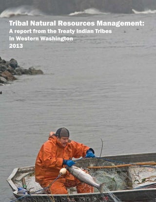 Tribal Natural Resources Management:
A report from the Treaty Indian Tribes
in Western Washington
2013
 