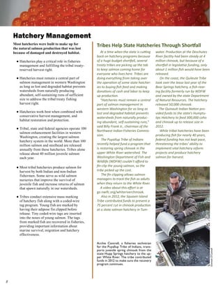 Hatchery Management
    Most hatcheries were built to make up for            Tribes Help State Hatcheries Through Shortfall
    the natural salmon production that was lost
    because of damaged and destroyed habitat.               At a time when the state is cutting      water. Production at the Deschutes
                                                         back on hatchery programs because           River facility had been steady at 4
      ● Hatcheries play a critical role in fisheries     of a huge budget shortfall, several         million chinook, but because of a
        management and fulfilling the tribal treaty-     treaty tribes are picking up the tab        shortfall in legislative funding, only
        reserved harvest right.                          to keep salmon coming home for              about 1 million fish would have been
                                                         everyone who lives here. Tribes are         released.
      ● Hatcheries must remain a central part of         doing everything from taking over              On the coast, the Quileute Tribe
        salmon management in western Washington          the operation of some state hatcher-        took over the lease last year of the
        as long as lost and degraded habitat prevents    ies to buying fish feed and making          Bear Springs hatchery, a fish-rear-
        watersheds from naturally producing              donations of cash and labor to keep         ing facility formerly run by WDFW
        abundant, self-sustaining runs of sufficient     up production.                              and owned by the state Department
        size to address the tribal treaty fishing           “Hatcheries must remain a central        of Natural Resources. The hatchery
        harvest right.                                   part of salmon management in                released 50,000 chinook.
                                                         western Washington for as long as              The Quinault Indian Nation pro-
      ● Hatcheries work best when combined with          lost and degraded habitat prevents          vided funds to the state’s Humptu-
        conservative harvest management, and             watersheds from naturally produc-           lips Hatchery to feed 300,000 coho
        habitat restoration and protection.
                                                         ing abundant, self-sustaining runs,”        and chinook up to release size in
                                                         said Billy Frank Jr., chairman of the       2012.
      ● Tribal, state and federal agencies operate 100
                                                         Northwest Indian Fisheries Commis-             While tribal hatcheries have been
        salmon enhancement facilities in western
        Washington, creating the largest salmon          sion.                                       producing fish for nearly 40 years,
        hatchery system in the world. More than 100          The Puyallup Tribe of Indians           federal funding has not kept pace,
        million salmon and steelhead are released        recently helped fund a program that         threatening the tribes’ ability to
        annually from these hatcheries. Tribes alone     is restoring spring chinook in the          implement vital hatchery reform
        release about 40 million juvenile salmon         upper White River watershed. The            projects and produce hatchery
        each year.                                       Washington Department of Fish and           salmon for harvest.
                                                         Wildlife (WDFW) couldn’t afford to
      ● Most tribal hatcheries produce salmon for        fin-clip the young salmon, so the
        harvest by both Indian and non-Indian            tribe picked up the cost.
        fishermen. Some serve as wild salmon                 The fin clipping allows salmon
        nurseries that improve the survival of           managers to track the fish as adults
        juvenile fish and increase returns of salmon     when they return to the White River.
        that spawn naturally in our watersheds.             A video about this effort is at
                                                         go.nwifc.org/whiteriverchinook.
      ● Tribes conduct extensive mass marking                Also in 2012, the Squaxin Island
        of hatchery fish along with a coded-wire         Tribe contributed funds to prevent a
        tag program. Young fish are marked by            75 percent cut in chinook production
        having their adipose fin clipped before          at a state salmon hatchery in Tum-
        release. Tiny coded-wire tags are inserted
        into the noses of young salmon. The tags
        from marked fish are recovered in fisheries,
        providing important information about
        marine survival, migration and hatchery
        effectiveness.

                                                         Archie Cantrell, a fisheries technician
                                                         for the Puyallup Tribe of Indians, trans-
                                                                                                                                              Emmett O’Connell




                                                         ports juvenile spring chinook from the
                                                         state Hupp Springs hatchery to the up-
                                                         per White River. The tribe contributed
                                                         funds in 2012 to make sure the recovery
                                                         program continues.





 