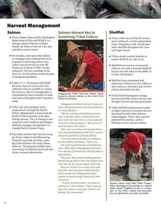 Harvest Management
    Salmon                                       Salmon Harvest Key to                                      Shellfish
    ● Treaty Indian tribes and the Washington    Sustaining Tribal Culture                                  ● Treaty tribes harvest Pacific oysters,
      Department of Fish and Wildlife co-                                                                     native littleneck, manila and geoduck
      manage salmon fisheries in Puget                                                                        clams, Dungeness crab, shrimp and
      Sound, the Strait of Juan de Fuca and                                                                   other shellfish throughout the coast
      nearshore coastal waters.                                                                               and Puget Sound.

    ● For decades, state and tribal salmon                                                                  ● Tribes closely monitor beaches to
      co-managers have reduced harvest in                                                                     ensure shellfish are safe to eat.
      response to declining salmon runs.
      Today’s harvest levels are only 80-                                                                   ● Shellfish harvested in commercial
      90 percent of those of 1985. Further                                                                    fisheries are sold to licensed shellfish
      reductions will not contribute to the                                                                   buyers who sell either to the public or
      recovery of wild salmon stocks because                                                                  to other distributors.
      of disappearing habitat.
                                                                                                            ● Shellfish from ceremonial and
    ● Under U.S. v. Washington (the Boldt




                                                                                            Kari Neumeyer
                                                                                                              subsistence fisheries are for tribal use
      decision), harvest occurs only after                                                                    only, and are a necessary part of their
      sufficient fish are available to sustain                                                                culture and traditional diet.
      the resource. Harvest management is
                                                 Stillaguamish Tribal Chairman Shawn Yanity
      coordinated to limit mortality of weak     prepares chinook salmon at the tribe’s First               ● Tribal shellfish programs manage
      wild stocks throughout their migratory     Salmon Ceremony.                                             harvest with other tribes and the state
      range.                                                                                                  through resource-sharing agreements.
                                                    Stillaguamish tribal fishermen have not
    ● Tribal and state managers work             had a directed commercial chinook fishery                  ● Tribal shellfish enhancement results
      cooperatively through the Pacific          in nearly 30 years.                                          in higher and more consistent harvest
      Fishery Management Council and the            “We are a pretty small fishing commu-                     that benefits both tribal and non-
      North of Falcon process to develop         nity,” said Gary Tatro, a fisherman who                      Indian diggers. Tribes also research
      fishing seasons. The co-managers also      also works for the tribe as a bison special-                 underutilized species, such as
      cooperate with Canadian and Alaskan        ist and in cultural support. “We just don’t                  Olympia oysters and sea urchins.
      fisheries managers through the U.S./       have the fish in the water.”
      Canada Pacific Salmon Treaty.                 Tatro was one of two designated fisher-
                                                 men who participated in the 2012 ceremo-
    ● The tribes monitor their harvest using
                                                 nial and subsistence chinook fishery.
      the Treaty Indian Catch Monitoring
                                                    “The only reason we fish for chinook is
      Program to provide accurate, same-
                                                 for the salmon ceremony,” Tatro said.
      day catch statistics for treaty Indian
      fisheries. The program enables close          The tribe has held these small fisheries
      monitoring of tribal harvest levels and    since 2009, when Stillaguamish hosted a
      allows inseason adjustments.               First Salmon Ceremony for the first time in
                                                 generations.
                                                    This year, Tatro and his fishing partner
                                                 Shawn Soholt didn’t meet the 30-fish limit
                                                 that was set during preseason planning.
                                                    Because returns are so low, each year,
                                                                                                                                                         Emmett O’Connell




                                                 the tribe must purchase additional fish
                                                 from outside the Stillaguamish River
                                                 system to have enough salmon for their
                                                 ceremony.
                                                    “To have a living culture, you have to                  Squaxin Island tribal elder Mike Cooper
                                                 practice it,” Tatro added. “That’s why we                  takes advantage of harvesting on a special
                                                 have the salmon ceremony. If we’re not                     elders beach. Shellfish harvest is a major
                                                                                                            part of the tribe’s culture and economy,
                                                 fishing, the culture dies.”                                but not all beaches are easily accessible.




 