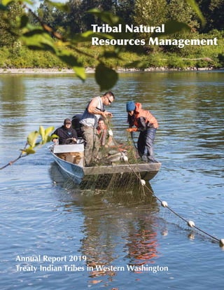 NWIFC 2019 Annual Report 1
Tribal Natural
Resources Management
Annual Report 2019
Treaty Indian Tribes in Western Washington
 