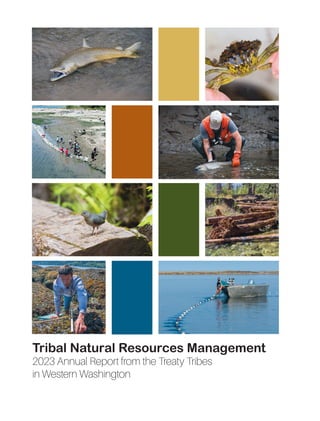 2023 Annual Report from the Treaty Tribes
in Western Washington
Tribal Natural Resources Management
 