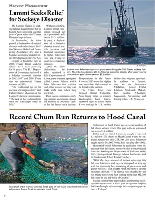 Harvest Management

Lummi Seeks Relief
for Sockeye Disaster
The Lummi Nation is seeking federal disaster relief for its
fishing fleet following another
year of poor returns of Fraser
River sockeye salmon.
In September, the tribe
passed a declaration of natural
disaster under the federal Stafford Disaster Relief and Emergency Assistance Act, and a
fisheries economic disaster under the Magnuson-Stevens Act.
Despite a bountiful run in
2010, Fraser River sockeye
returns have been declining
for 30 years. The U.S. Department of Commerce declared it
a fisheries economic disaster
in 2002, 2007 and 2008. There
was no commercial Fraser
sockeye in 2013.
“Our traditional ties to the
sockeye are irreplaceable,” said
Elden Hillaire, chairman of the
Lummi Fisheries Commission.
“The lack of harvest interferes
with our schelangen (way of
life).”

Without a fishery,
Lummi tribal fishermen missed out
on a potential catch
worth $1.3 million.
In part, a declaration of a fisheries
disaster would provide services and
financial assistance
to tribal fishermen
who are trying to
adapt to a changing
industry.
K. Neumeyer
After the 2008
declaration,
the Lummi tribal fishermen operate a purse seine during the 2011 Fraser sockeye fishtribe received a ery. The tribe has declared 2013 a fisheries economic disaster after poor returns
U.S. Department of canceled this year’s fishery worth $1.3 million.
Labor grant to create a program Temperatures in the Fraser before they migrate upstream.
called Lummi Fishers, which River in 2013 were the highest In addition to Lummi,
helps fishermen find training ever recorded, high enough to they are the Jamestown
S’Klallam,
Lower
Elwha
and other careers so they can be lethal to the salmon.
The Fraser River runs Klallam, Nooksack, Makah,
make ends meet when they
Gamble
S’Klallam,
through British Columbia. Port
can’t fish.
Poor ocean conditions, shift- Nine treaty tribes in western Suquamish, Swinomish and
have
treaty- Tulalip tribes. – K. Neumeyer
ing currents and climate change Washington
are blamed as potential caus- reserved rights to catch Fraser
es for the Fraser run’s decline. River sockeye in U.S. waters

Record Chum Run Returns to Hood Canal

T. Royal

Skokomish tribal member Annette Smith pulls in her beach seine filled with chum
salmon near Enetai Creek in southern Hood Canal.

6

Fishermen in Hood Canal saw a record number of
fall chum salmon return this year with an estimated
run size of 1.4 million.
Tribal and non-tribal fishermen caught a reported
1.2 million fall chum in Hood Canal when the expected return was only 324,000. Last year, fishermen
caught nearly 582,000 from a final run size of 674,000.
Skokomish tribal fishermen in particular were inundated with fall chum, most of which were produced
from the Washington Department of Fish and Wildlife’s Hoodsport and George Adams hatcheries, and
the Skokomish Tribe’s Enetai Hatchery.
“With the large amount of salmon returning this
fall, our fishermen and buyers attempted to keep up
with the non-treaty fleet consisting of purse seine and
gillnet vessels,” said Joseph Pavel, the tribe’s natural
resources director. “The market was flooded by the
non-treaty purse seine fleet landing more than 442,000
fall chum in the last week of October.”
Excess salmon were recycled at a composting facility on the reservation. A local yard and garden supplier
has been brought in to manage the composting operation. – T. Royal

 
