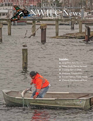 Northwest Indian Fisheries Commission

NWIFC News
Winter 2013/14
nwifc.org

Inside:
■■ Large Pink Runs Return
■■ Tribes Study Marine Survival
■■ Tracking Salmon DNA
■■ Analyzing Zooplankton
■■ Canned Salmon Feeds Needy
■■ Chinook Find Restored River

 