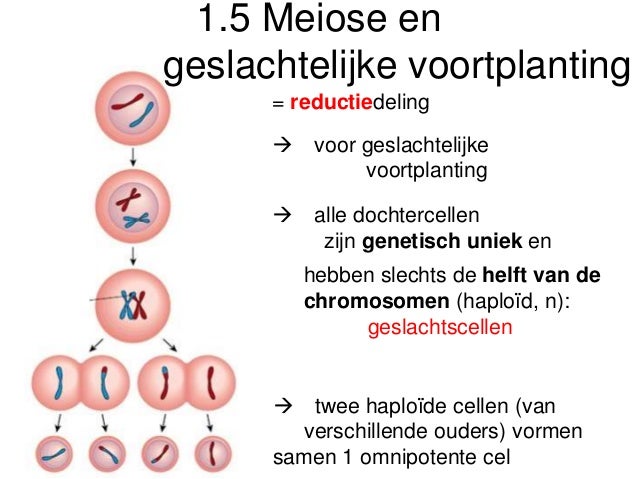 Nw iii 1 variatie in voortplanting