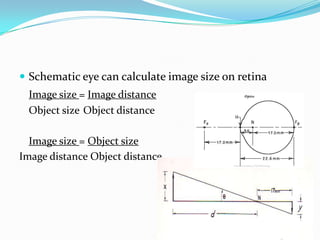  Schematic eye can calculate image size on retina
Image size = Image distance
Object size Object distance

Image size = Object size
Image distance Object distance

 