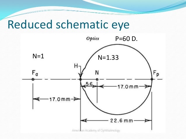 Diagram Of D Eye Images - How To Guide And Refrence
