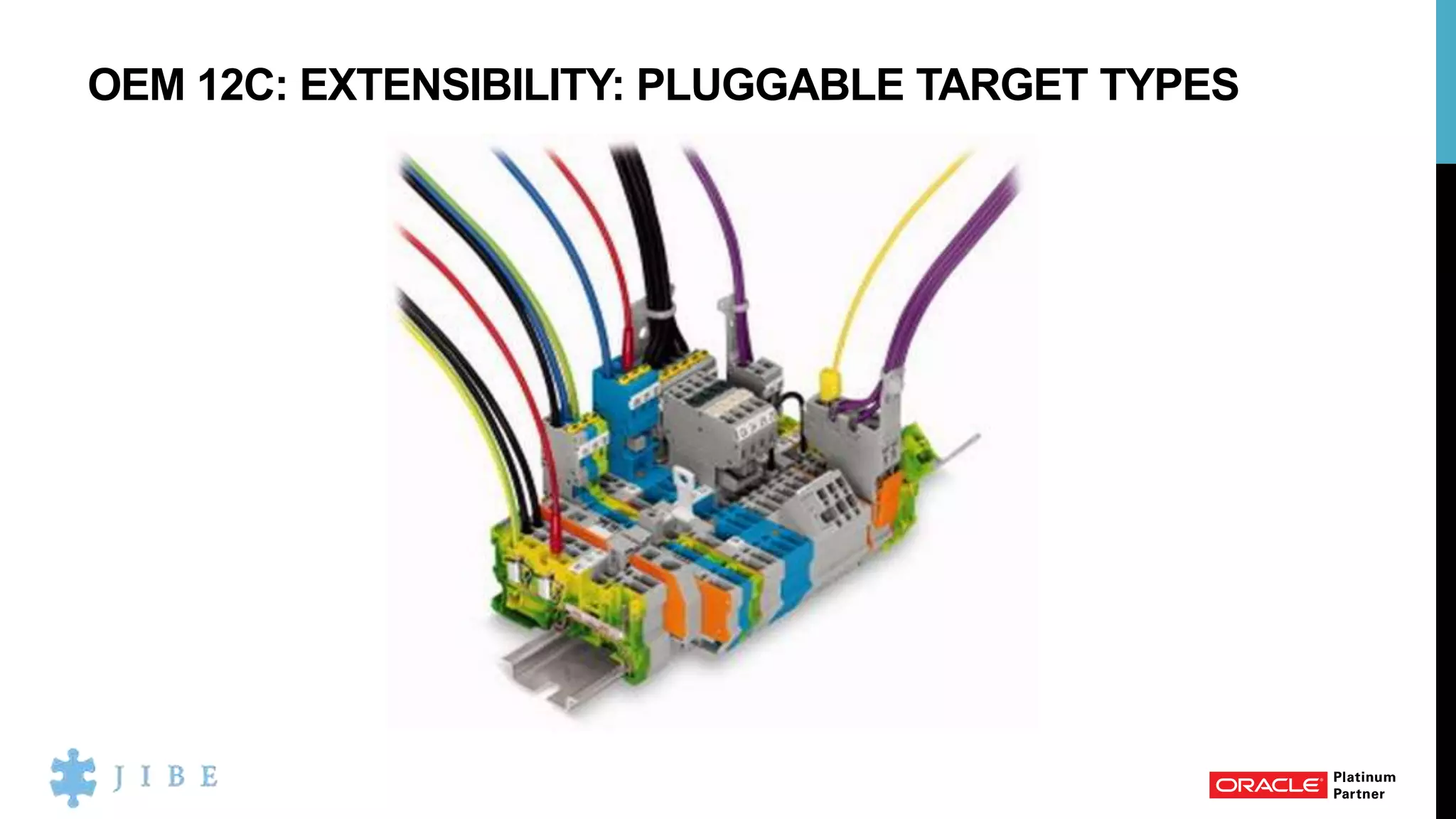 OEM 12C: EXTENSIBILITY: PLUGGABLE TARGET TYPES
 
