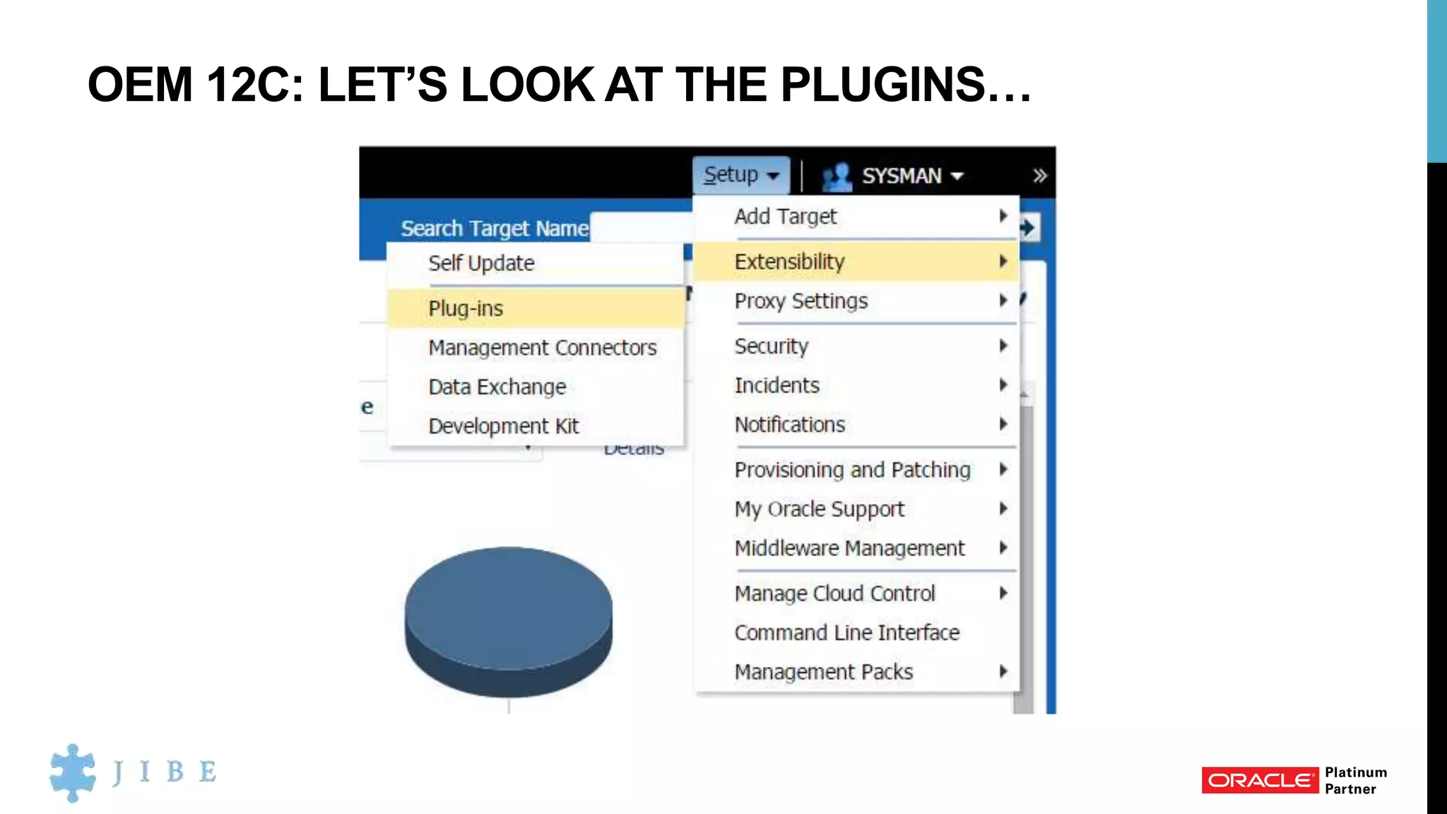 OEM 12C: LET’S LOOK AT THE PLUGINS…
 