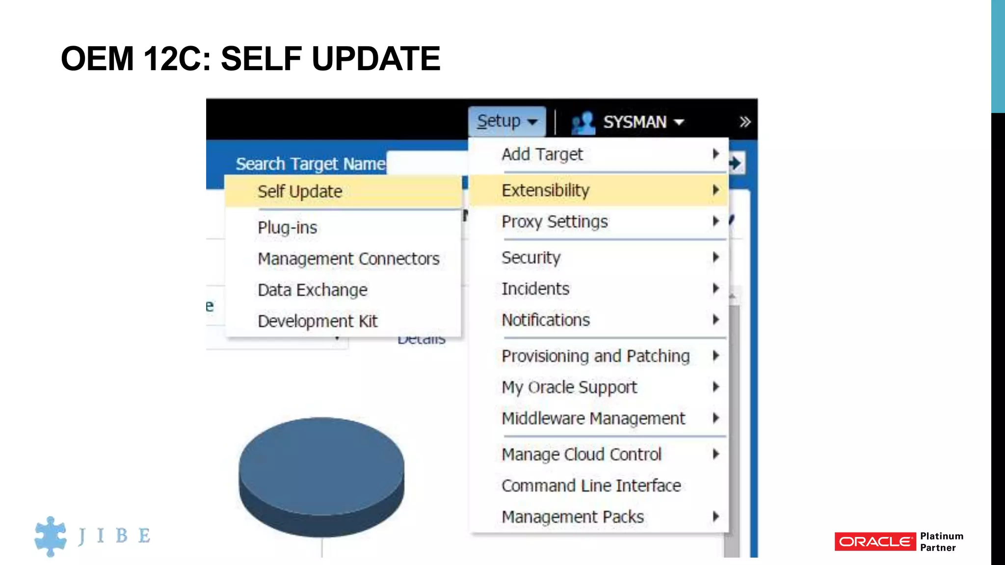 OEM 12C: SELF UPDATE
 