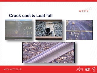 Crack cast & Leaf fall
 