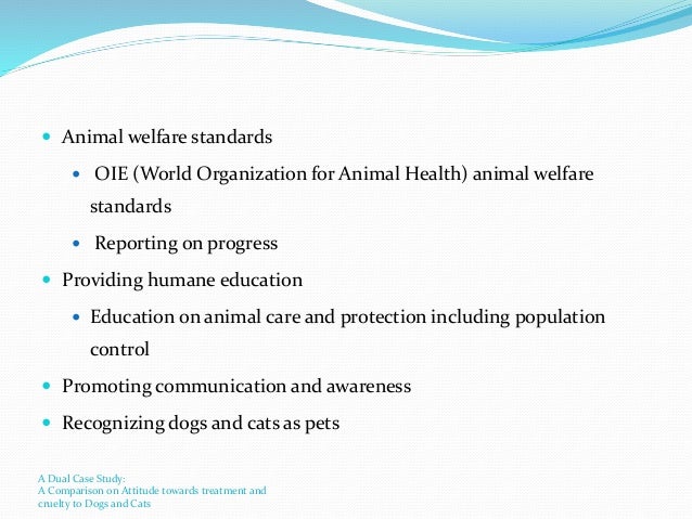 Dual case study picture