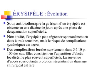 ÉRYSIPÈLE : Évolution 
 Sous antibiothérapie la guérison d’un érysipèle est 
obtenue en une dizaine de jours après une phase de 
desquamation superficielle. 
 Non traité, l’érysipèle peut régresser spontanément en 
deux à trois semaines, mais le risque de complications 
systémiques est accru. 
 Des complications locales surviennent dans 5 à 10 p. 
100 des cas. Elles consistent en l’apparition d’abcès 
localisés, le plus souvent superficiels. La survenue 
d’abcès sous-cutanés profonds nécessitant un drainage 
chirurgical est rare. 
 