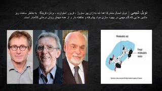 ‫شیمی‬ ‫نوبل‬:‫ریز‬ ‫ساخت‬ ‫خاطر‬ ‫به‬ ‫فرینگا‬ ‫برنارد‬ ، ‫استوارت‬ ‫فریزر‬ ، ‫ساووژ‬ ‫پیر‬ ‫ژان‬ ‫به‬ ‫شد‬ ‫اهدا‬ ‫مشترکا‬ ‫امسال‬ ‫نوبل‬
‫است‬ ‫کاآمدتر‬ ‫درمانی‬ ‫روش‬ ‫مهمتر‬ ‫همه‬ ‫از‬ ‫و‬ ‫دار‬ ‫حافظه‬ ‫و‬ ‫پیشرفته‬ ‫مواد‬ ‫سازی‬ ‫بهبود‬ ‫در‬ ‫مهمی‬ ‫گام‬ ‫که‬ ‫یی‬ ‫ها‬ ‫ماشین‬.
 