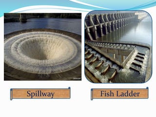Spillway Fish Ladder