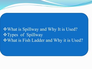 What is Spillway and Why It is Used?
Types of Spillway
What is Fish Ladder and Why it is Used?