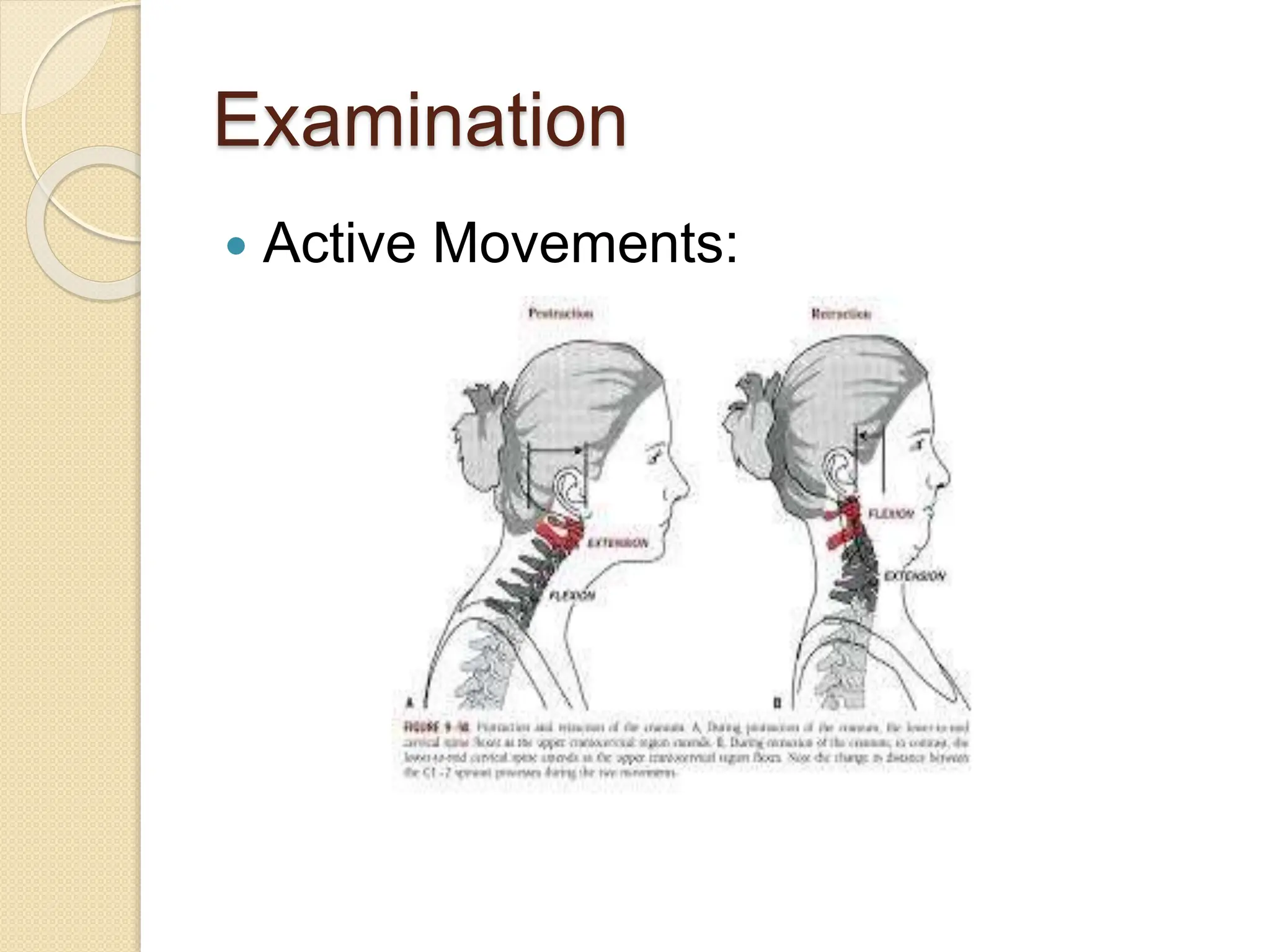 Cervical_Spine.pptx