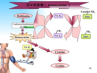 同半胱胺酸（ homocysteine ）   Cysteine Methionine 5-adenosylmethionine (SAM) Vit. B 12 Vit. B 6 Cystine Homocysteine Vit.  B 12 CH 3 folate TH 4 folate 5-methyl TH 4 