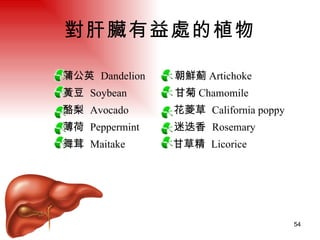 對肝臟有益處的植物 蒲公英  Dandelion  朝鮮薊 Artichoke 黃豆  Soybean  甘菊 Chamomile 酪梨  Avocado  花菱草  California poppy 薄荷  Peppermint  迷迭香  Rosemary 舞茸  Maitake  甘草精  Licorice   