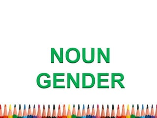 NOUN 
GENDER 
 