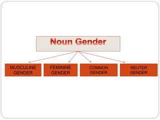 MUSCULINE 
GENDER 
FEMININE 
GENDER 
COMMON 
GENDER 
NEUTER 
GENDER 
 