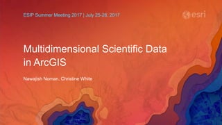 Multidimensional Scientific Data
in ArcGIS
Nawajish Noman, Christine White
ESIP Summer Meeting 2017 | July 25-28, 2017
 