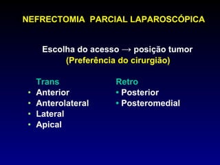 Escolha do acesso  ->  posição tumor (Preferência do cirurgião) Trans Retro Anterior •  Posterior Anterolateral •  Posteromedial Lateral Apical NEFRECTOMIA  PARCIAL LAPAROSCÓPICA 