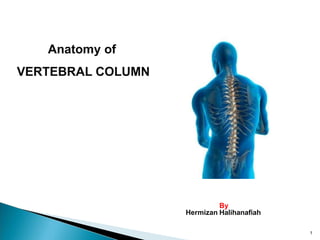 Anatomy of
VERTEBRAL COLUMN
By
Hermizan Halihanafiah
1
 