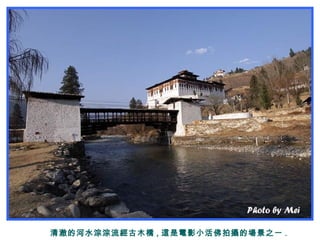 清澈的河水淙淙流經古木橋 , 這是電影小活佛拍攝的場景之一 .
 