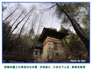 經輪塔矗立在筆直的松林裏 . 林間溪水 , 日夜永不止息 , 默默推動著
 