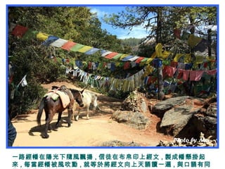 一路經幡在陽光下隨風飄揚 , 信徒在布帛印上經文 , 製成幡懸掛起
來 , 每當經幡被風吹動 , 就等於將經文向上天誦讀一遍 , 與口誦有同
 