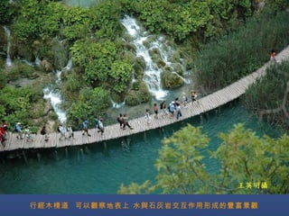 行經木棧道  可以觀察地表上 水與石灰岩交互作用形成的豐富景觀 