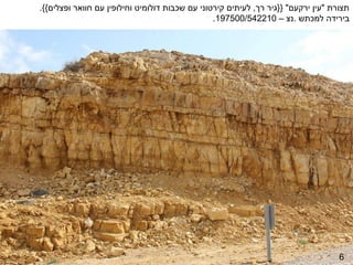 ‫תצורת "עין ירקעם" }}גיר רך, לעיתים קירטוני עם שכבות דולומיט וחילופין עם חוואר ופצלים{{.‬
                                                 ‫בירידה למכתש .נצ – 012245/005791.‬




                                                                                    ‫6‬
 