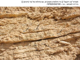‫תצורת "עין ירקעם" }} גיר ודולומיט משוכבים, עם נודולות של צור )חיצים( {{‬
                                   ‫בירידה למכתש . נ.צ – 081245/026791.‬




‫9‬
 