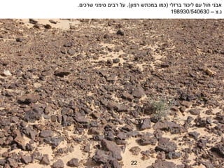 ‫אבני חול עם ליכוד ברזלי )כמו במכתש רמון(. על רבים סימני שרכים.‬
                                        ‫נ.צ – 036045/039891‬




                      ‫22‬
 