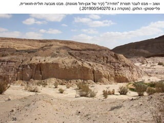 ‫ושוב – מבט לעבר תצורת "חתירה" )קיר של אבן-חול מגוונת(. מבט מגבעה חולית-חווארית,‬
                                        ‫פלייסטוקן- הולוקן. )מנקודה נ.צ 072045/009102.(‬




‫83‬
 