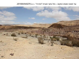 ‫עוד תמונה מאותו המקום – נחל בתוך תצורת "חתירה" – נ.צ 072045/009102.‬




‫04‬
 
